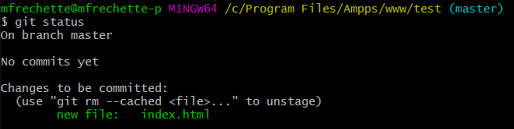 git_status