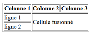 Exemple de colspan
